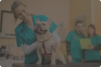 animal welfare image